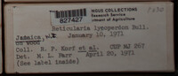 Image Associated With the Occurence